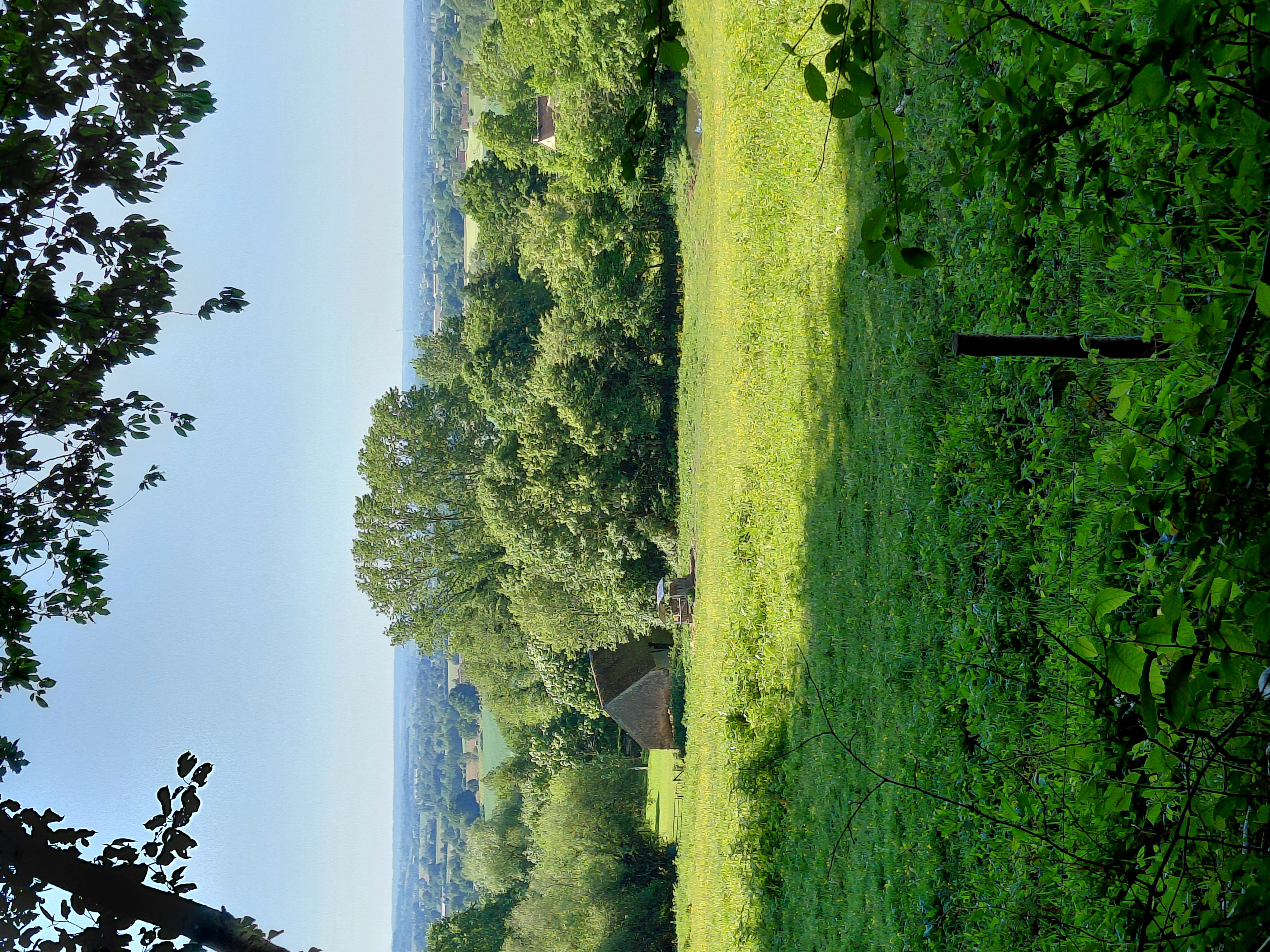 Les forêts et collines du Perche